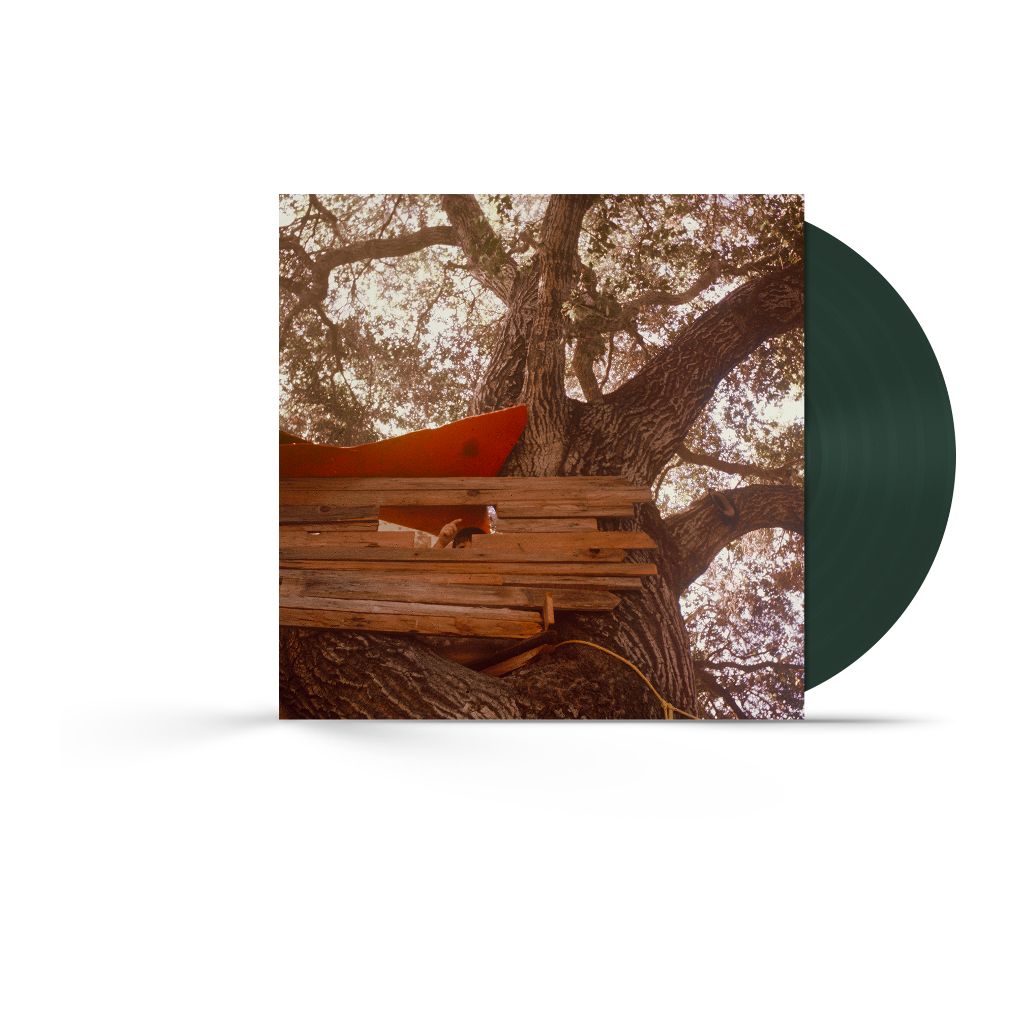 BSL_Web_WaitingToSpill_LP_Gree
