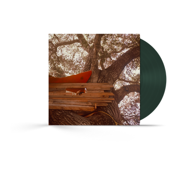 Waiting to Spill LP (Limited Edition Green)